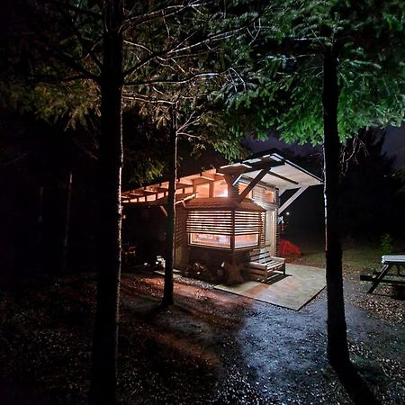 Brisas Del Llaima Villa Melipeuco Bagian luar foto