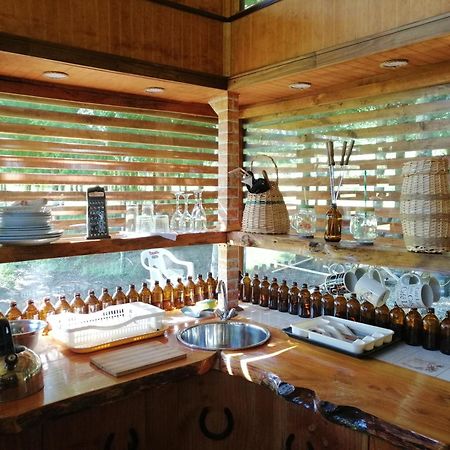 Brisas Del Llaima Villa Melipeuco Bagian luar foto