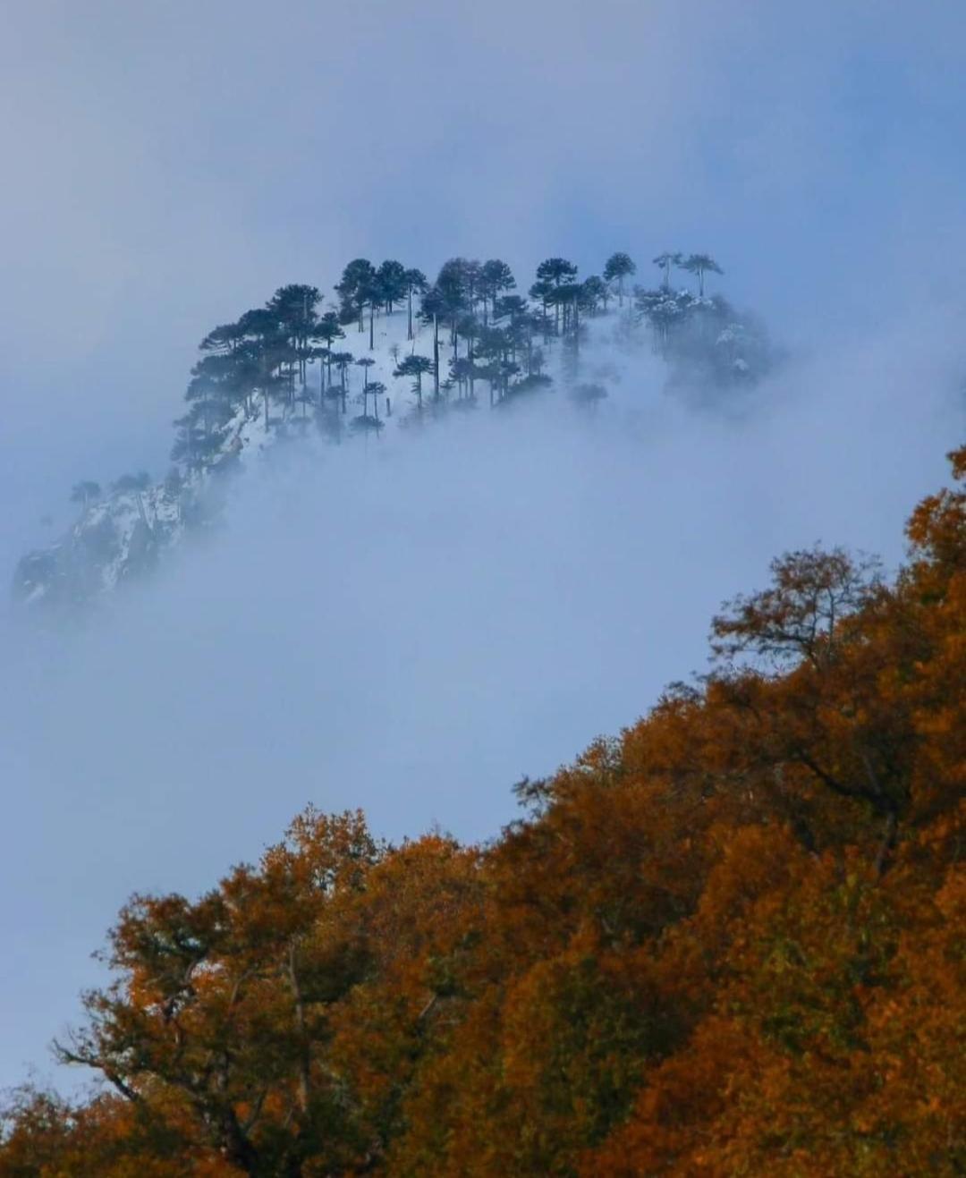 Brisas Del Llaima Villa Melipeuco Bagian luar foto