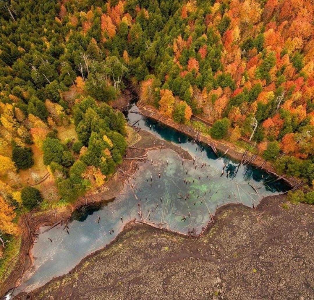 Brisas Del Llaima Villa Melipeuco Bagian luar foto